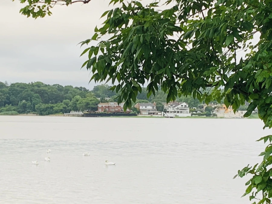 IMG_7093.jpg?type=w966