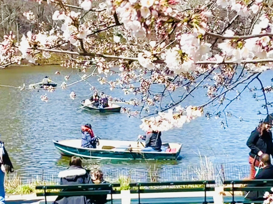 IMG_8426.jpg?type=w966