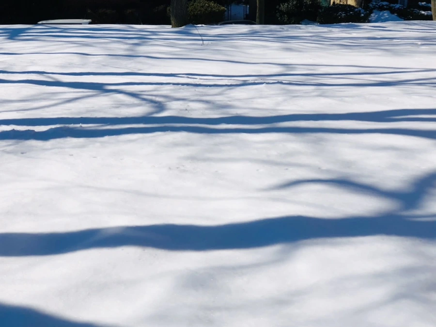 IMG_4014.jpg?type=w966