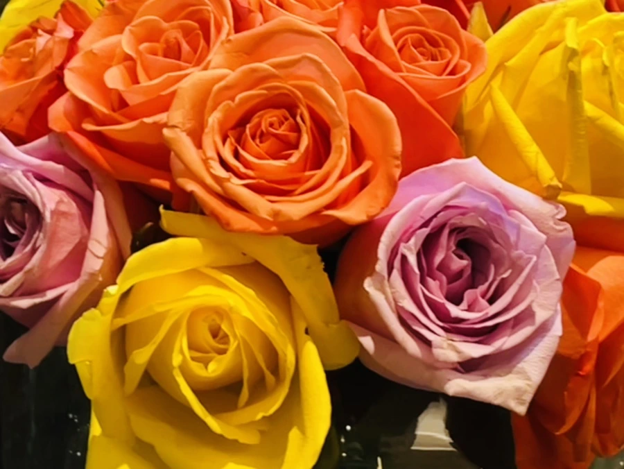 IMG_7245.jpg?type=w966