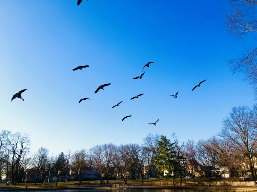 IMG_2289.jpg?type=w966