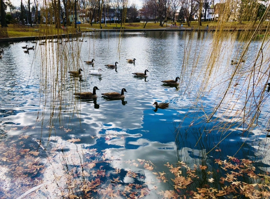 IMG_4333.jpg?type=w966