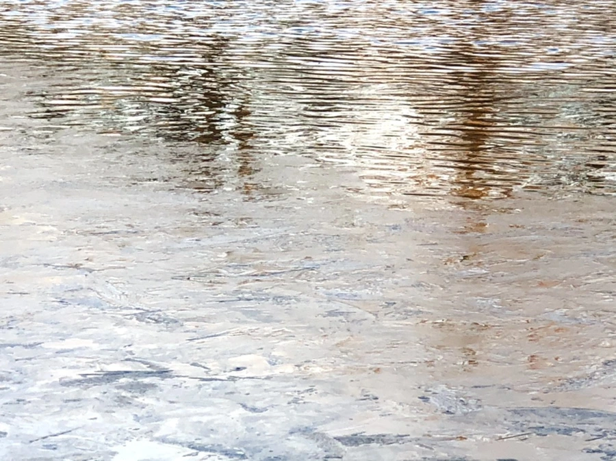 IMG_0775.jpg?type=w966