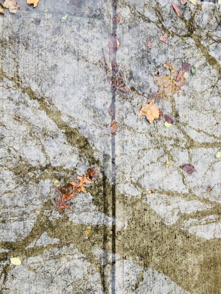 IMG_8144.jpg?type=w966