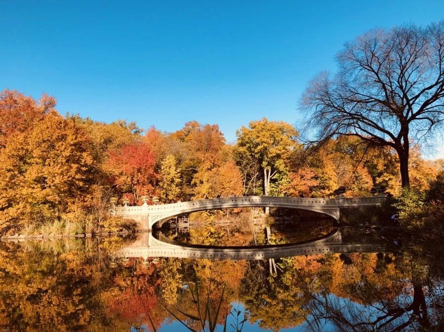 sKJdbaHsShZANAsWJNr5ric3xVQ