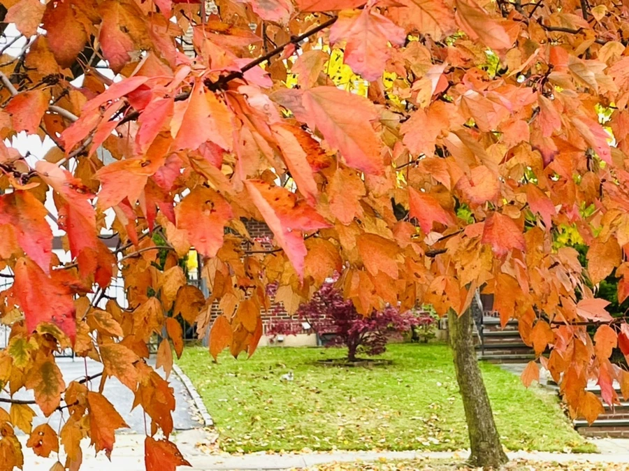 IMG_4453.jpg?type=w966