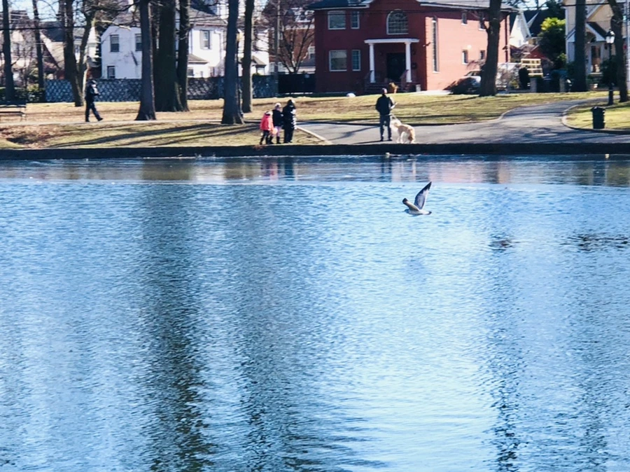 IMG_1331.jpg?type=w966