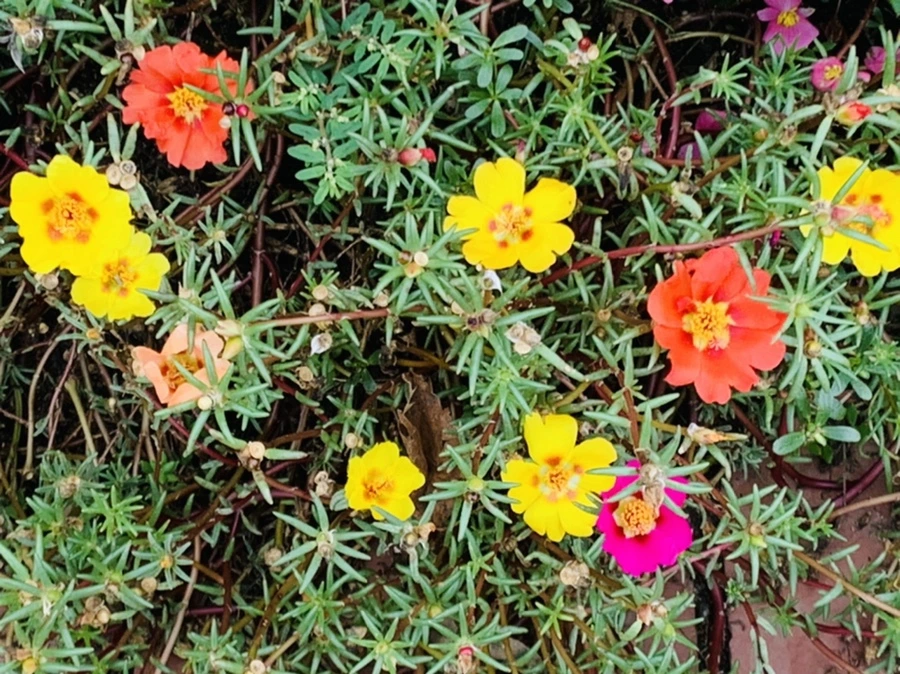 IMG_5919.jpg?type=w966