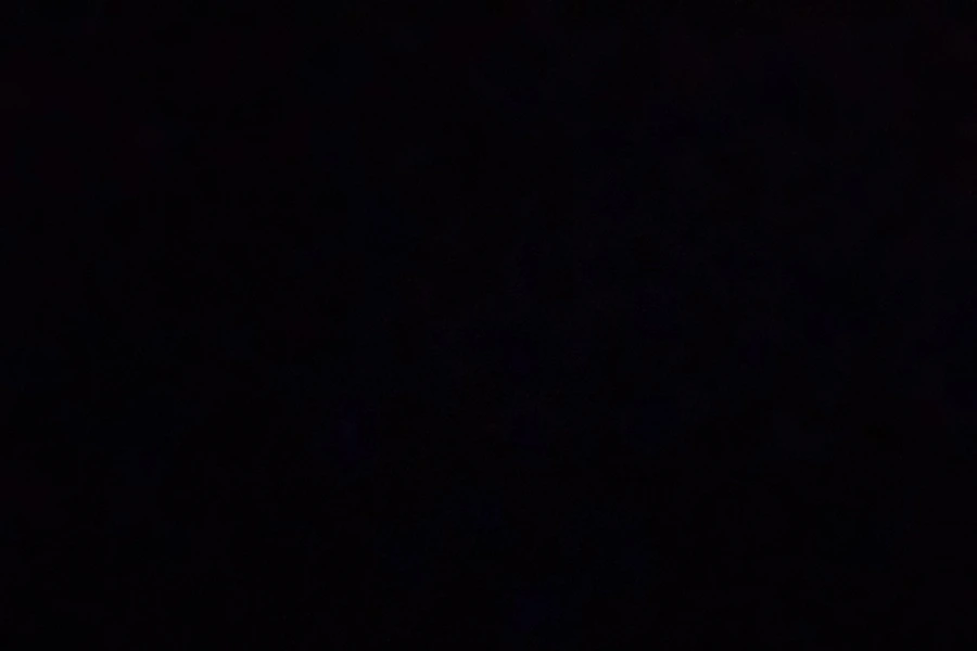 IMG_0102.jpg?type=w966