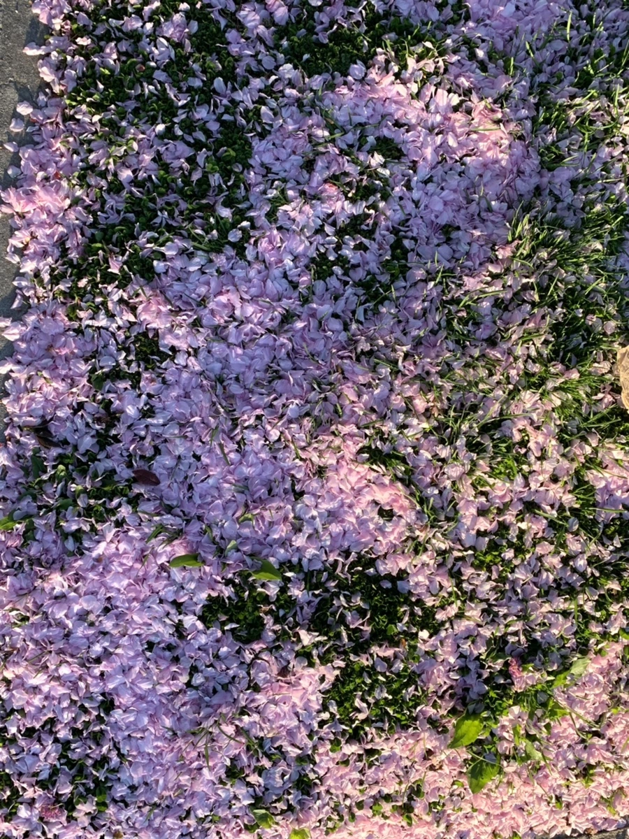 IMG_5507.jpg?type=w966