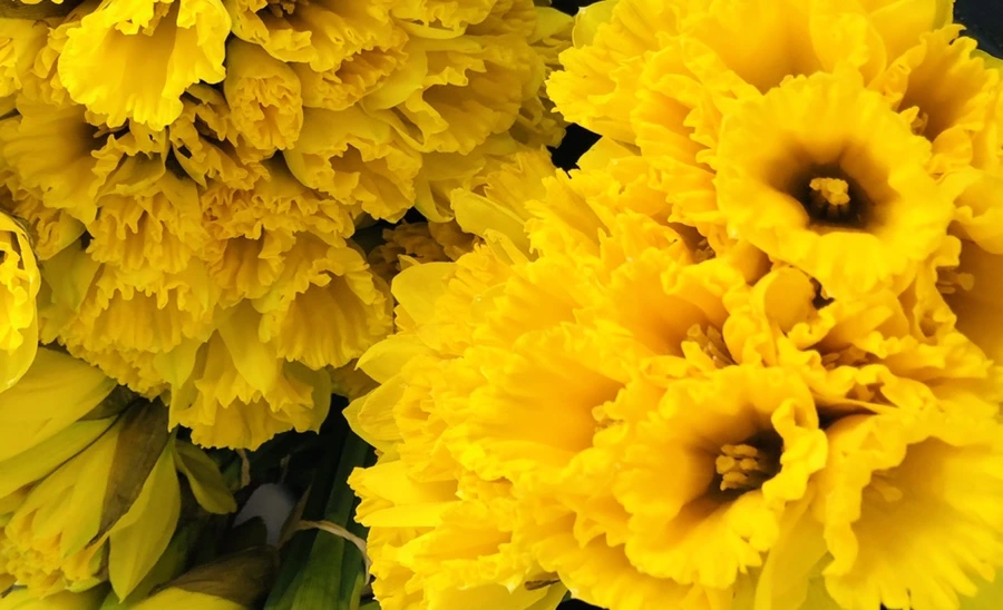 IMG_1691.jpg?type=w966