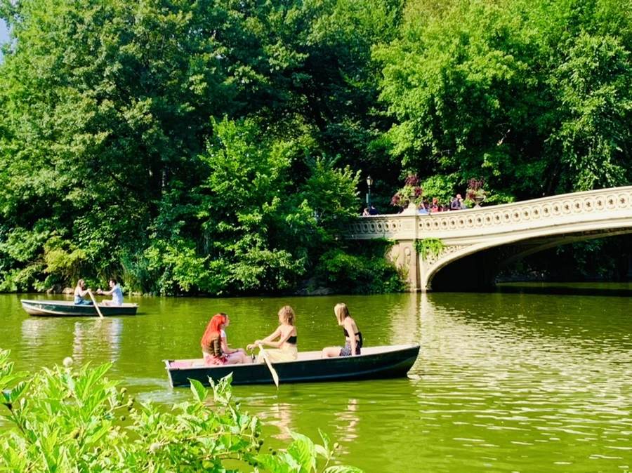 IMG_0658.jpg?type=w966