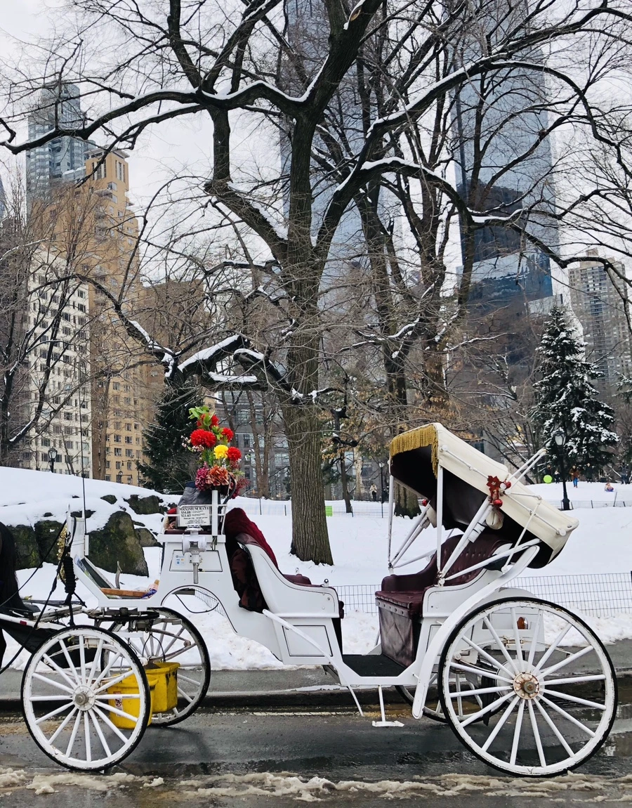 IMG_0374.jpg?type=w966