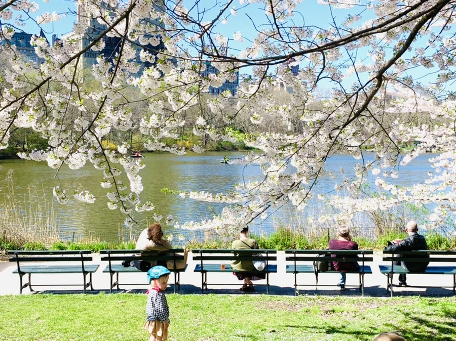 IMG_1889.jpg?type=w966