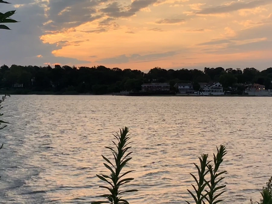 IMG_1708.jpg?type=w966