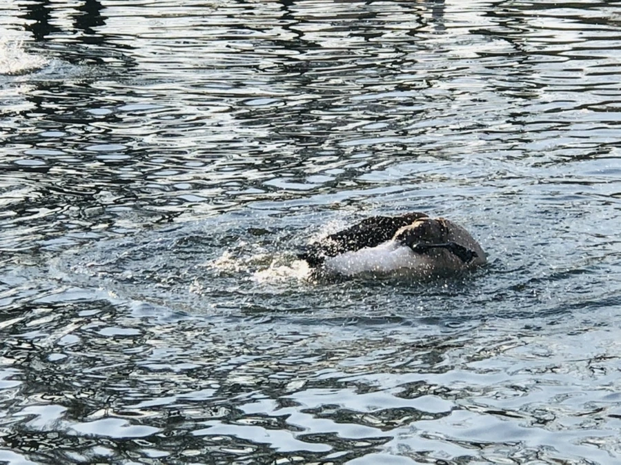 IMG_2845.jpg?type=w966