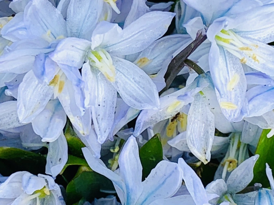 IMG_4143.jpg?type=w966