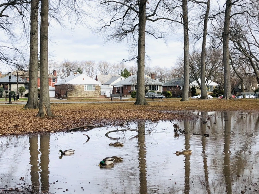 IMG_9915.jpg?type=w966