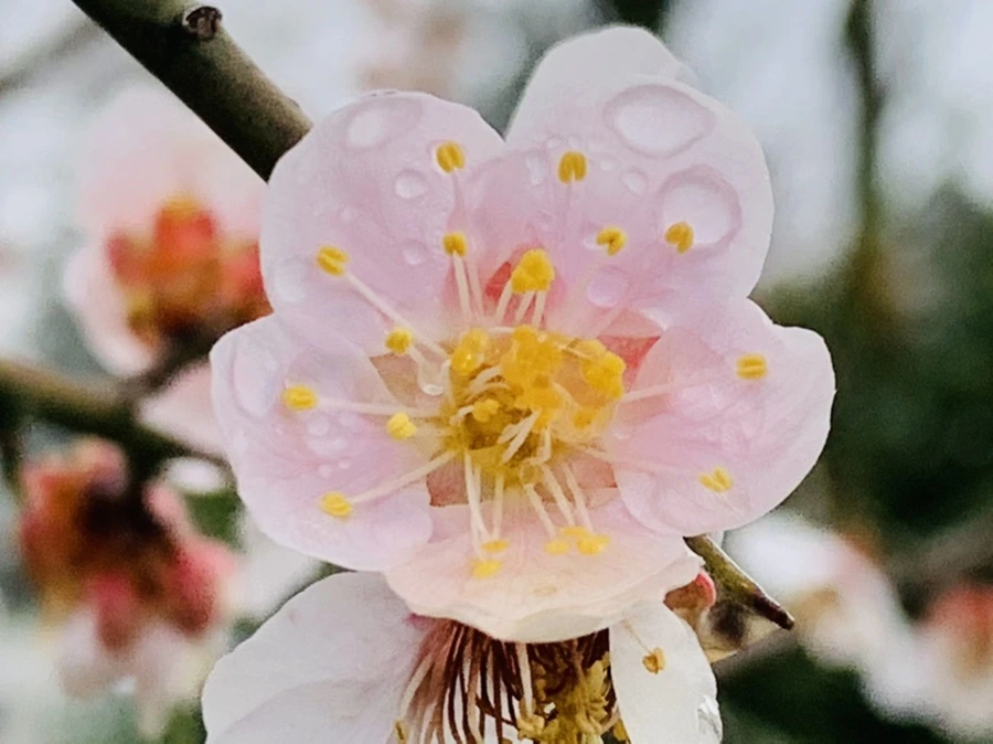 IMG_3926.jpg?type=w966