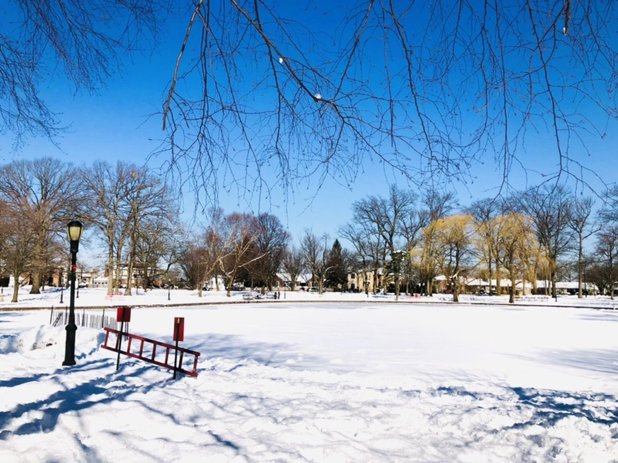 IMG_1353.jpg?type=w966