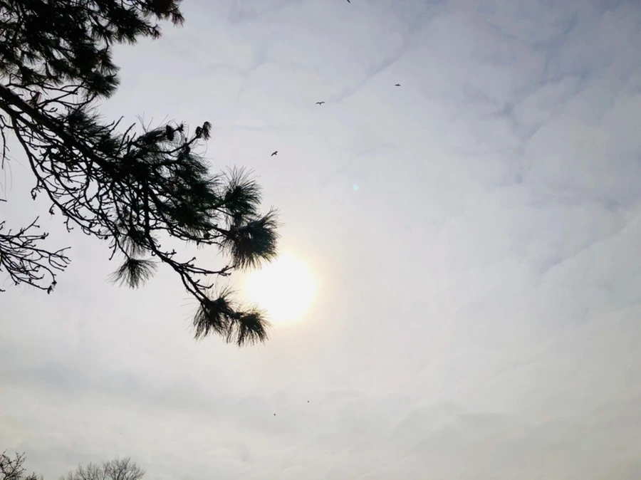 IMG_2180.jpg?type=w966