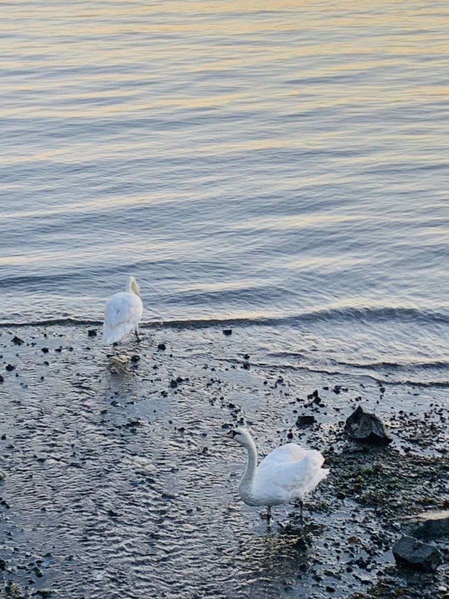 IMG_9483.jpg?type=w966