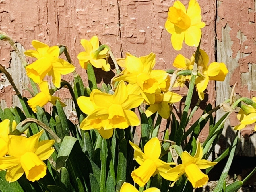 IMG_3407.jpg?type=w966