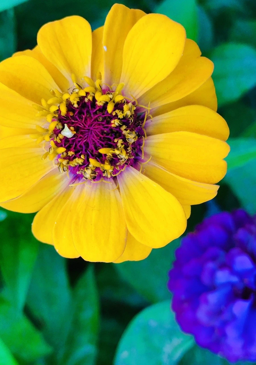 z254L4OVZmgnCzT2CXmZP6LMJb8