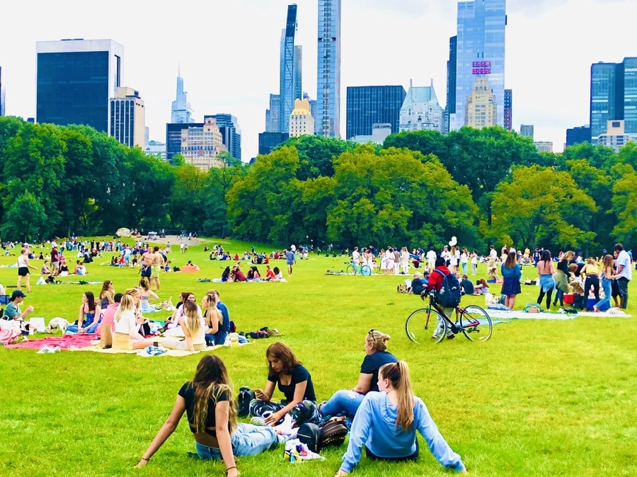 IMG_1041.jpg?type=w966