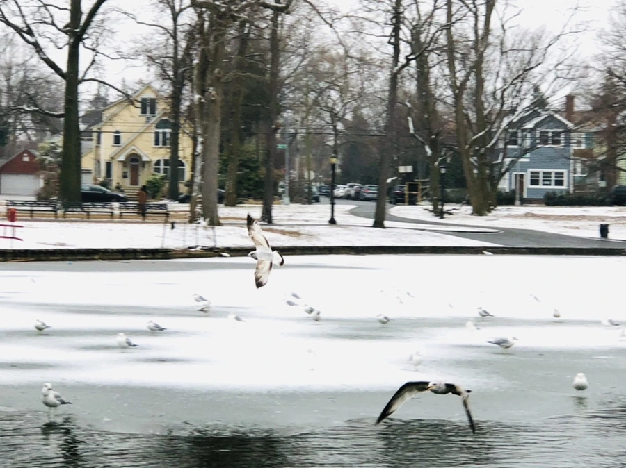 IMG_6306.jpg?type=w966