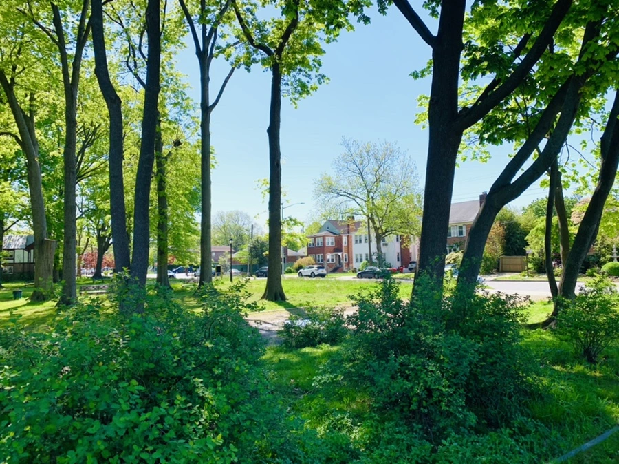 IMG_1887.jpg?type=w966