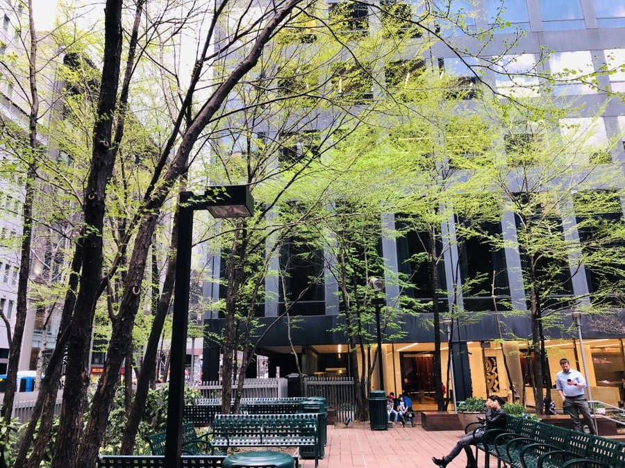 IMG_2603.jpg?type=w966