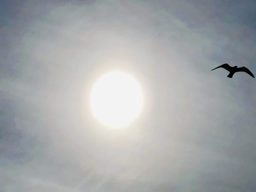 IMG_3133.jpg?type=w966