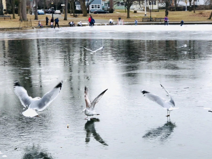 IMG_8761.jpg?type=w966