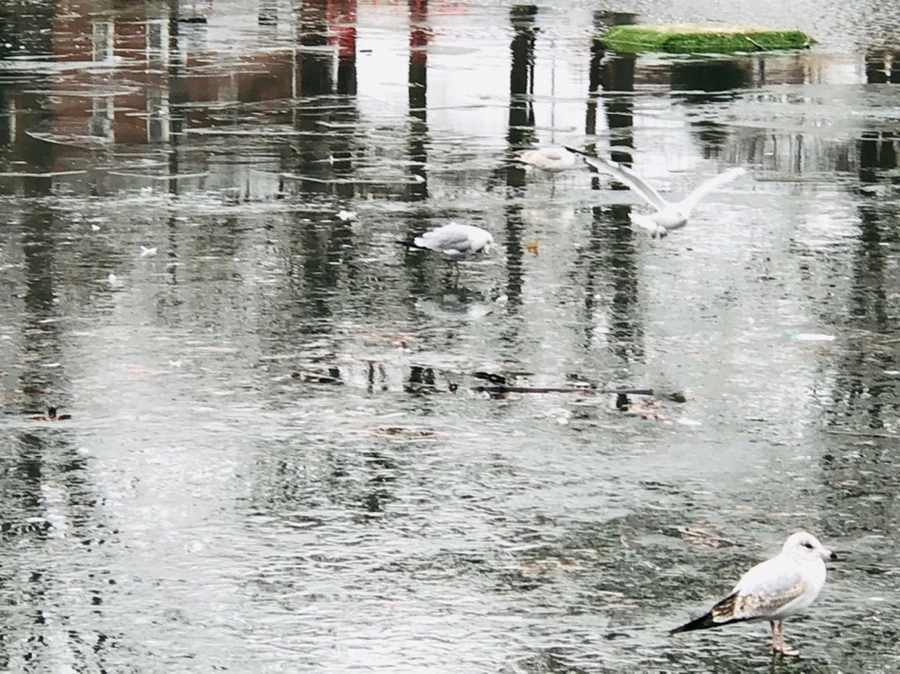 IMG_3138.jpg?type=w966