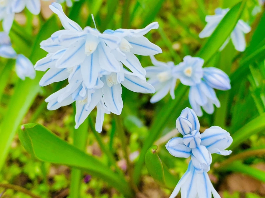 IMG_6724.jpg?type=w966