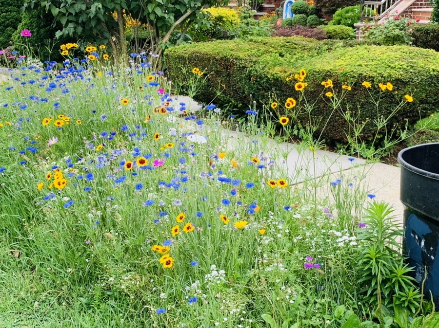 IMG_7267.jpg?type=w966