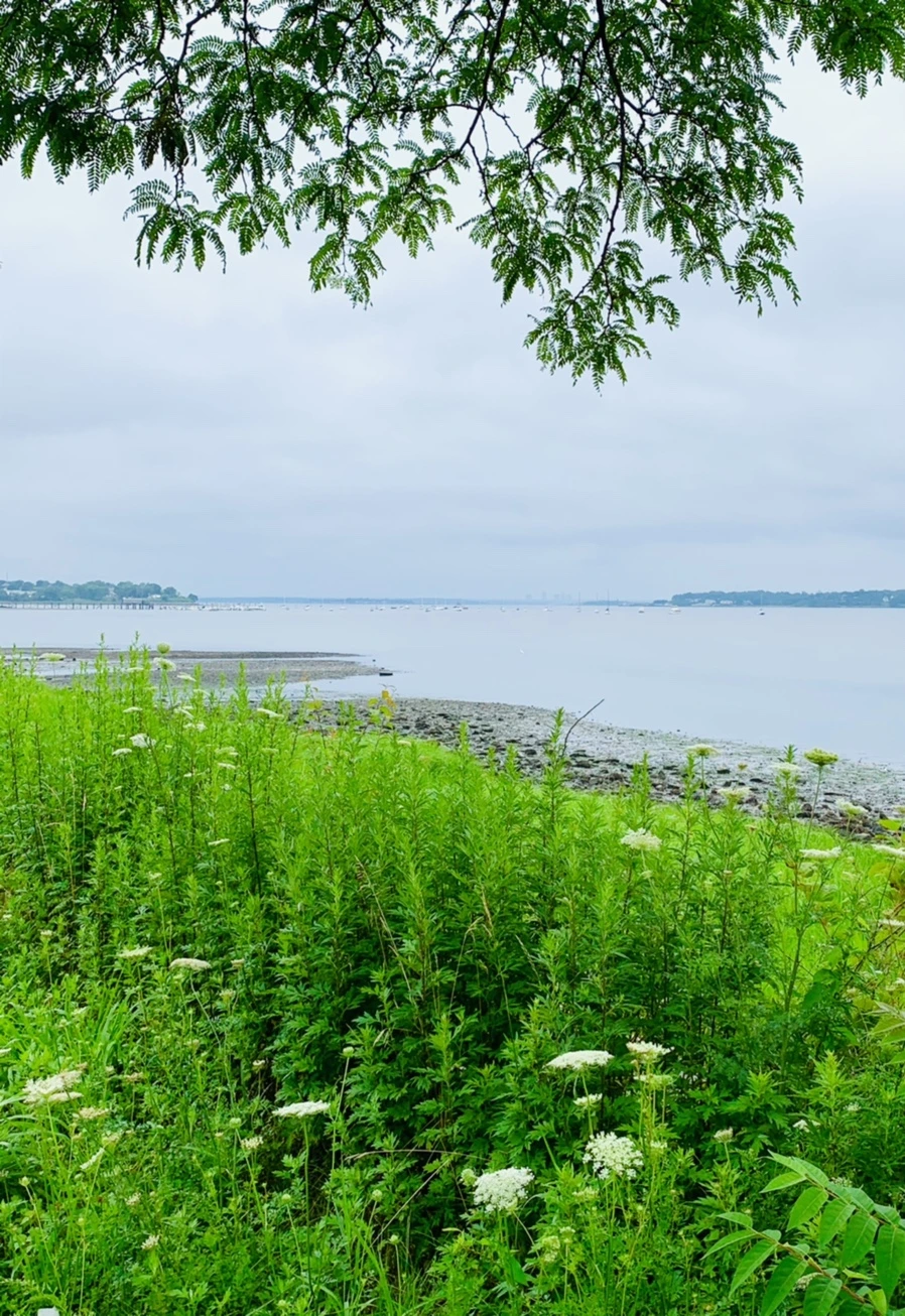 IMG_3759.jpg?type=w966