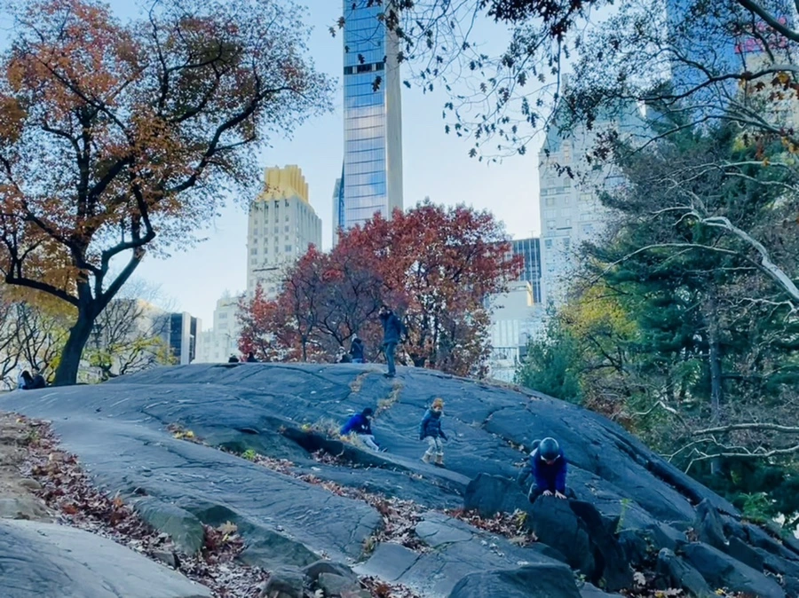 IMG_5067.jpg?type=w966