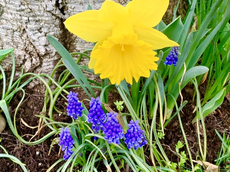 IMG_6326.jpg?type=w966