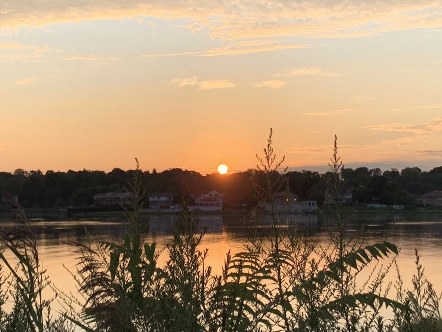 IMG_1270.jpg?type=w966