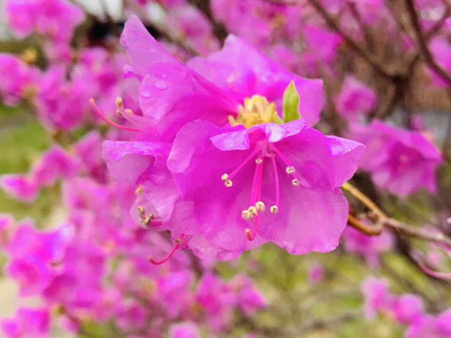 IMG_6145.jpg?type=w966