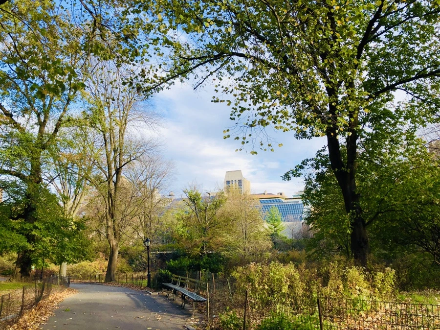 IMG_4997.jpg?type=w966