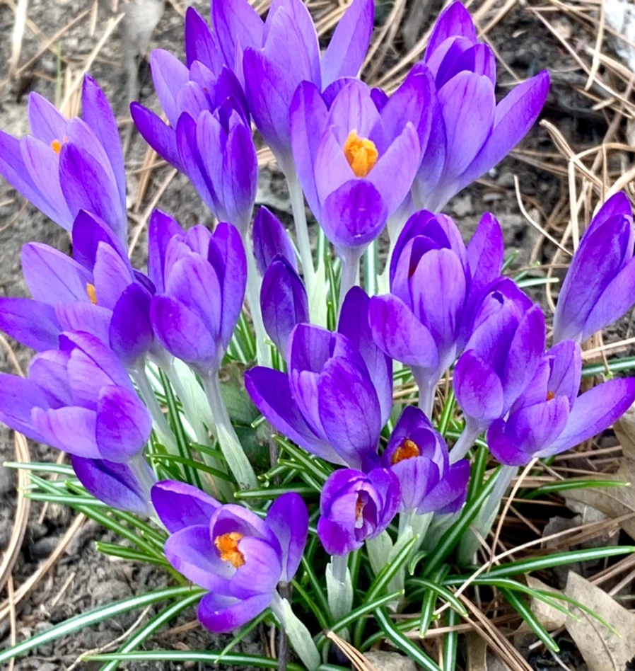 IMG_1253.jpg?type=w966