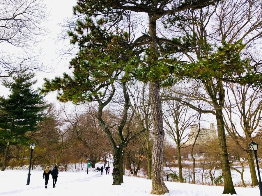 IMG_7289.jpg?type=w966