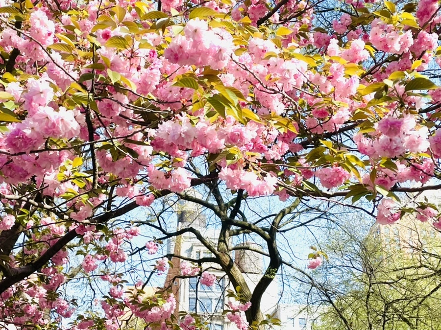 IMG_2359.jpg?type=w966