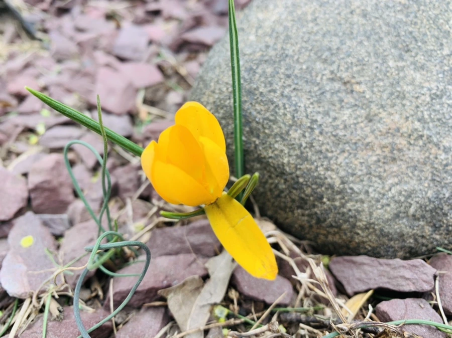 IMG_1664.jpg?type=w966