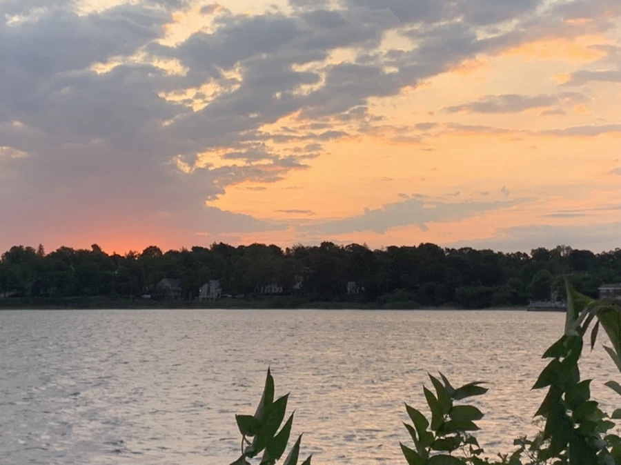 IMG_1682.jpg?type=w966