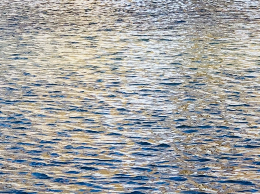 IMG_3822.jpg?type=w966