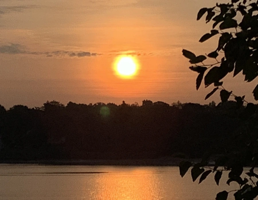 IMG_7768.jpg?type=w966